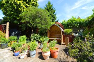 Photo 11- click for photo gallery